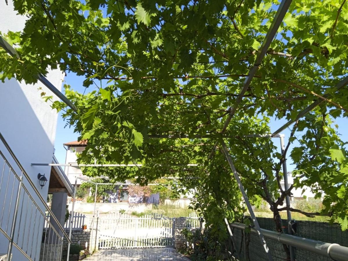 Apartman Josipa ペロイ エクステリア 写真